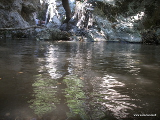 ldaia del Drago19-07-2015 11-41-07